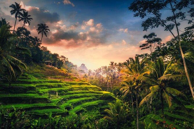 Ubud waterfall, rice terraces, and swing explore - A 6-hour Ubud loop: waterfall, terraces, swing