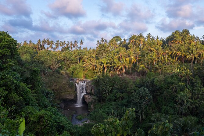 Ubud waterfall, rice terraces, and swing explore - Stop 2: Tegalalang rice terraces for classic Ubud views