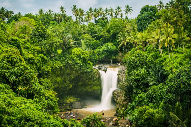 Ubud waterfall, rice terraces, and swing explore - Stop 3: Ubud Jungle Swing, tandem options, and Balinese coffee making