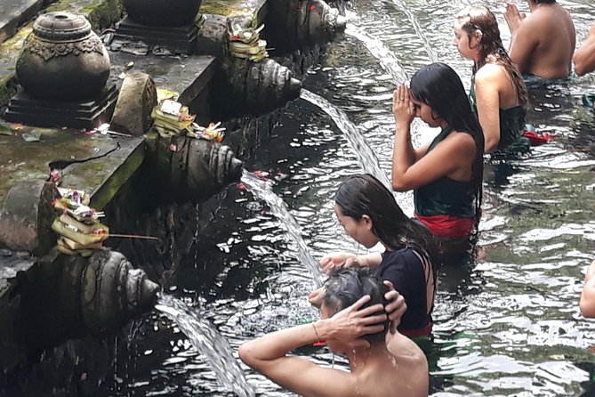 Ubud Waterfall Swing And Spring Temple Private Guided Tour - The value of a private Ubud day (and what that changes)