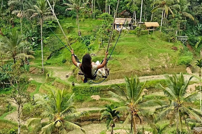 Ubud Waterfall Swing And Spring Temple Private Guided Tour - Where Mount Batur and coffee tasting fit in