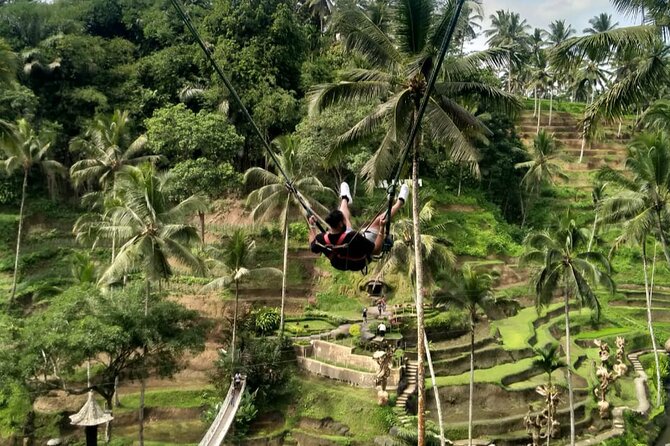 Ubud Waterfall Swing And Spring Temple Private Guided Tour - Timing and pacing: what you should plan for