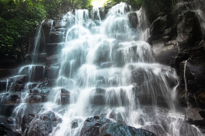 Ubud Waterfalls and Rice Terraces Private Day Tour - A Private Day Around Ubud’s Rice Terraces and Waterfalls
