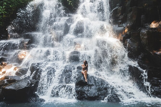 Ubud Waterfalls and Rice Terraces Private Day Tour - Value for Money: What You Get for $29.77
