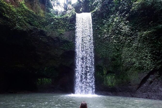 Ubud Waterfalls, Rice Terrace & Jungle Swing - Private Tour - Key highlights before you go