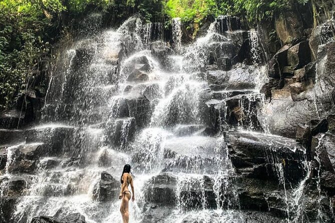 Ubud Waterfalls, Rice Terrace & Jungle Swing - Private Tour - Why this Ubud waterfall-and-terrace day beats DIY