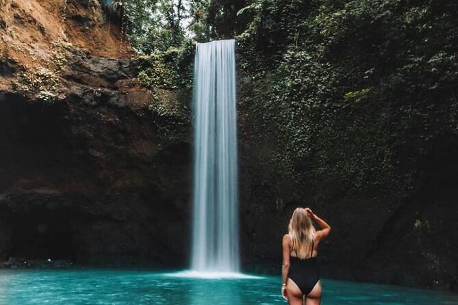 Ubud Waterfalls, Rice Terrace & Jungle Swing - Private Tour - Stop 4: Tegalalang Rice Terrace and the irrigation-system view