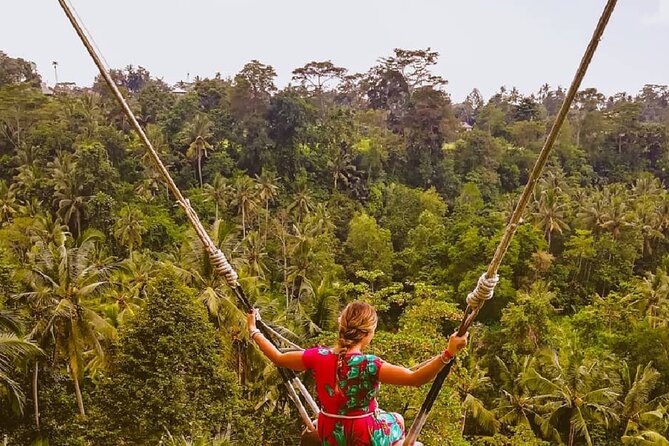 Ubud Waterfalls, Rice Terrace & Jungle Swing - Private Tour - The jungle swing option over the rice paddies (and what to budget)