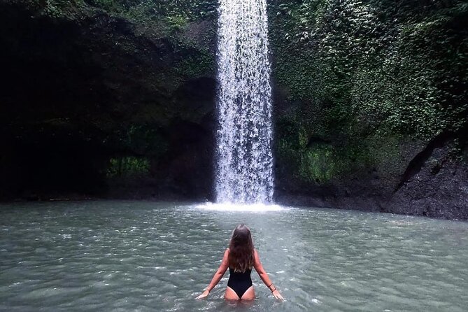 Ubud Waterfalls, Temple and Rice Terrace - Private Tour - Key highlights you’ll care about