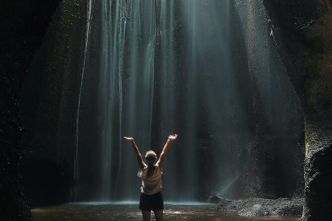 Ubud: Waterfalls, Water Temple & Rice Terraces Private Tour - Price and value: what $22.50 per person really buys