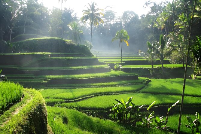 Ubud: Waterfalls, Water Temple & Rice Terraces Private Tour - Tegalalang Rice Terrace: the view plus the Subak system