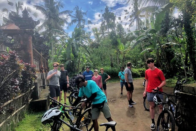 Ubud Wonderful Half Day Downhill Cycling Tour with Lunch - Plantation stop and fruit tasting: seeing Bali through flavors