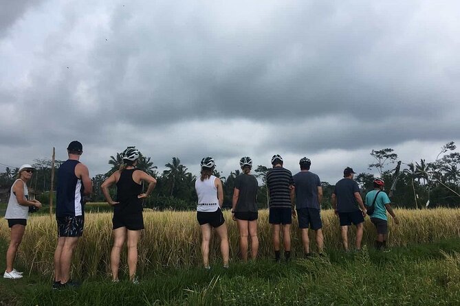 Ubud Wonderful Half Day Downhill Cycling Tour with Lunch - Banjar Laplapan lunch: Balinese food with real choice