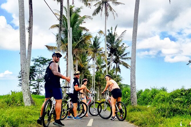 Ubud Wonderful Half Day Downhill Cycling Tour with Lunch - Pacing and practical tips so the ride stays easy