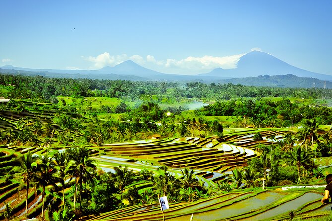UNESCO Jatiluwih Rice Terrace and Tanah Lot Sunset Tour - Penatahan Hot Springs: the relaxation break before the coast drama