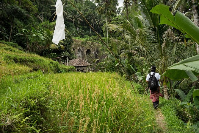UNESCO Sites Cultural Walking Tour in Bali - The Meal Break: Light Breakfast, Lunch, and Keeping Energy for Walking