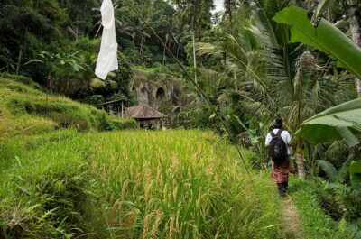 UNESCO Sites Cultural Walking Tour in Bali - Tirta Empul Temple: The Purification Ritual and Temple Etiquette