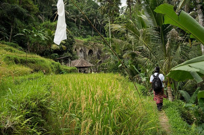 UNESCO Sites Cultural Walking Tour in Bali - Tirta Empul Temple: The Purification Ritual and Temple Etiquette
