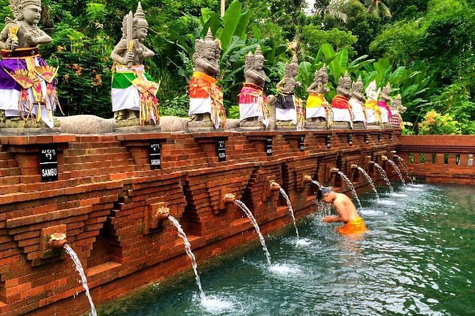 Unique Cleansing Ceremony with Locals - Why a Cleansing Ceremony Beats a Typical Ubud Temples-Only Tour