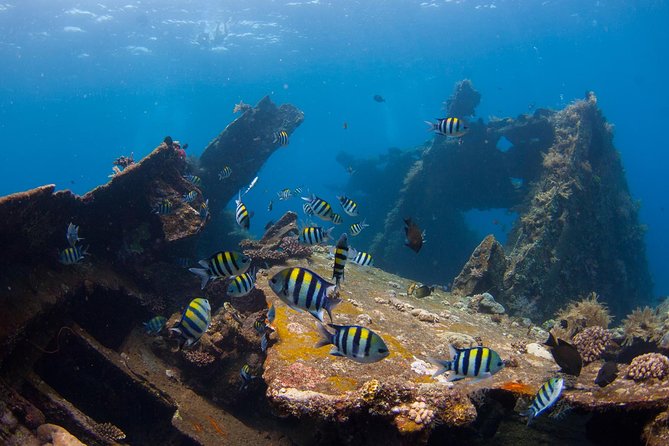 USS Liberty Shipwreck Scuba Diving at Tulamben Bali - USS Liberty at Tulamben: why this wreck is a repeat-worthy target