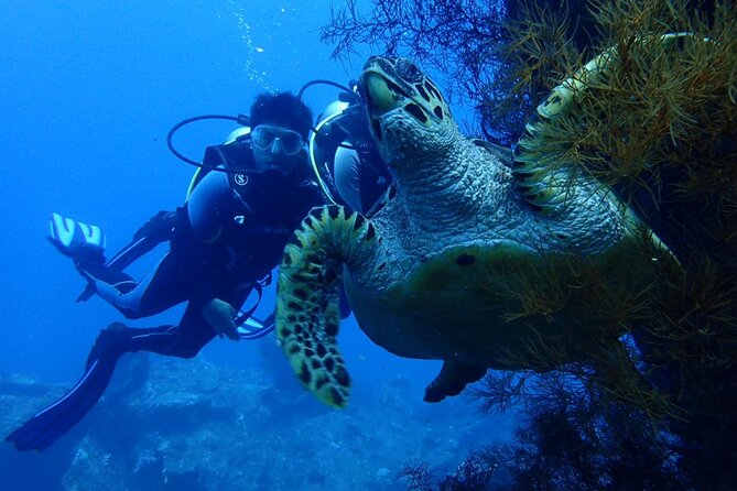 USS Liberty Shipwreck Scuba Diving at Tulamben Bali - First wreck swim from shore: close access and an “uncomplicated” plan