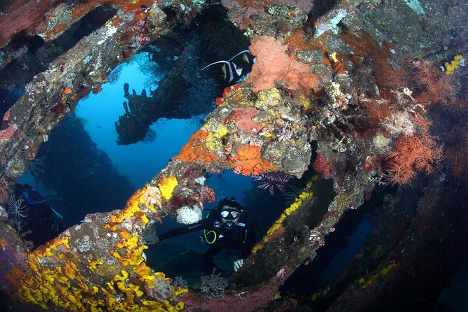USS Liberty Shipwreck Scuba Diving at Tulamben Bali - Price and value: what $109.50 covers and where you might spend extra