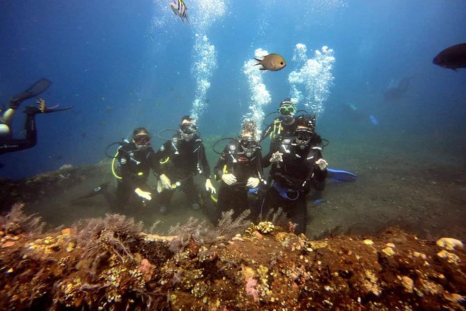 USS Liberty Shipwreck Scuba Diving at Tulamben Bali - What could trip you up: experience level, long road days, and small facility issues