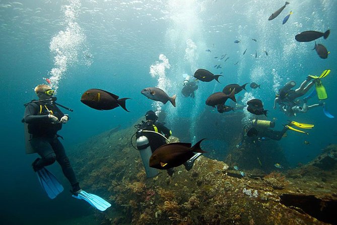 USS Liberty Shipwreck Scuba Diving at Tulamben Bali - Your 8:00am start and 10-hour day: how the timing usually feels