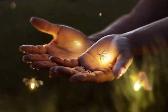 VIllage Firefly Night Tour - Ubud Bali - Where the Tour Starts in Ubud (and Why Location Matters)