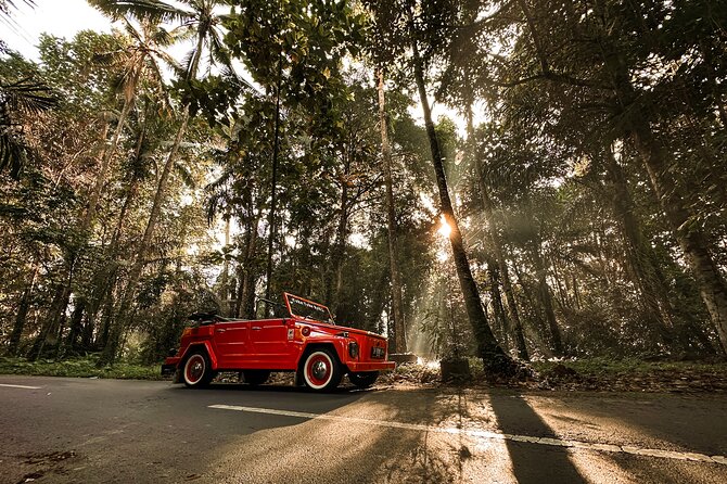 Vintage Volkswagen Bali Tour - Tegenungan Waterfall: swimming option and the right mindset