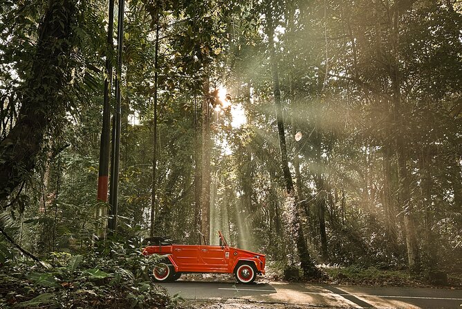 Vintage Volkswagen Bali Tour - Pura Agung Gunung Raung Taro: the big gate photo moment