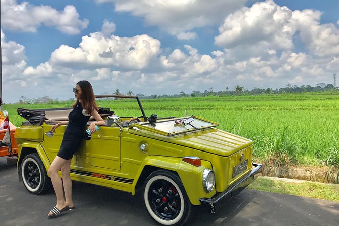 VW Safari,Bayan Ancient Tree,Jatiluwih,Wanagiri,Banyumala Twin Waterfalls - Key points worth knowing before you go