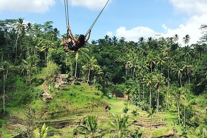 Water Rafting adventure with Jungle Swing & rice terraces - A Day of Rapids, Swings, and Rice Terraces in Bali
