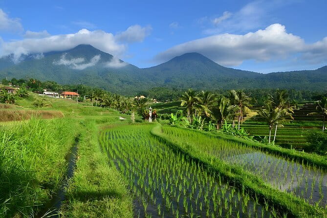 Waterfall Tour: North Bali Best Waterfalls - Who This North Bali Waterfall Tour Is Best For
