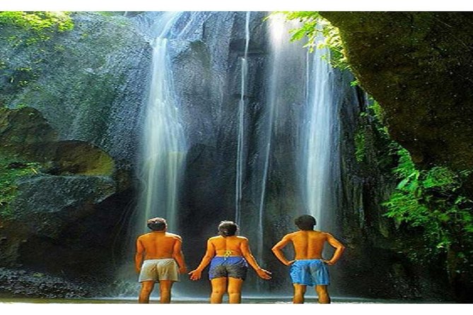 Waterfall Tour:Tegenungan-Kanto Lampo-Tukad Cepung and Tibumana- Free transport - The real win: one English-speaking driver for all four waterfalls