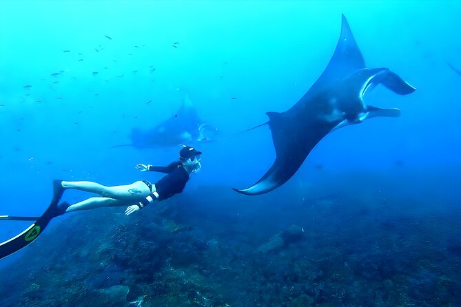 West Nusa Penida Island Snorkeling Tour - From Bali Island - Key highlights I’d actually plan around