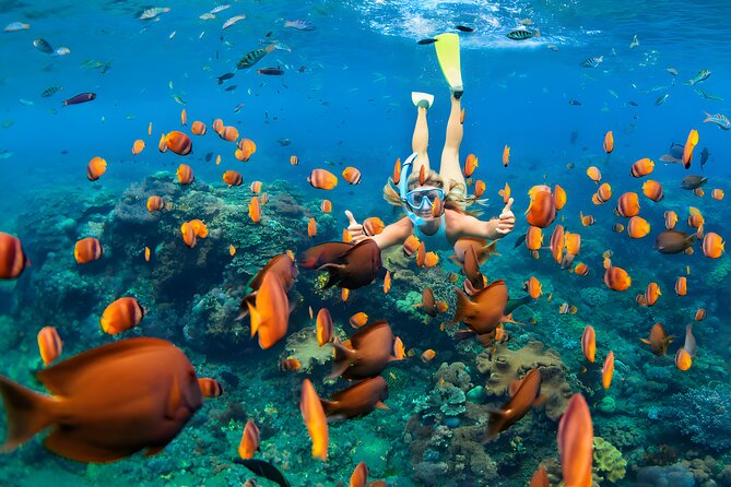 West Nusa Penida Island Snorkeling Tour - From Bali Island - Why West Penida snorkeling feels like a real day off