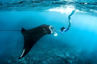 West Nusa Penida Island Snorkeling Tour - From Bali Island - Gamat Bay: coral-and-fish snorkeling with clear time blocks