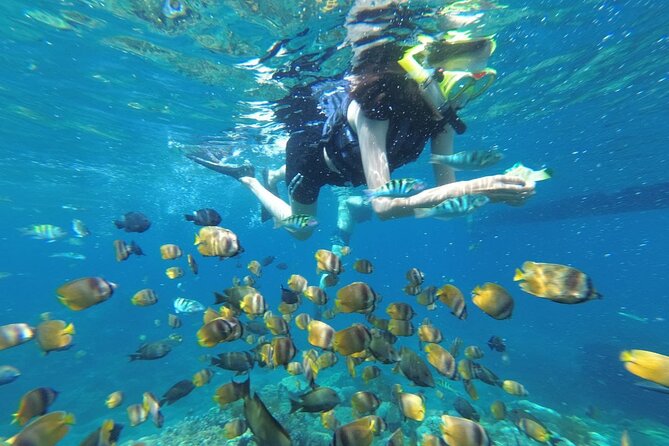 West Nusa Penida With Snorkeling Private Guided Tour - Key Highlights You’ll Feel Immediately