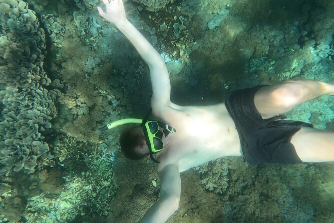 West Nusa Penida With Snorkeling Private Guided Tour - Gamat Bay: Coral, Color, and Fish Feeding From Your Palm