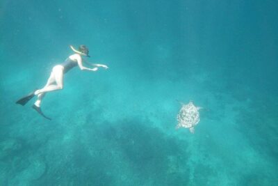 West Nusa Penida With Snorkeling Private Guided Tour - Manta Point Snorkeling: Your Best Shot at the Big Guy