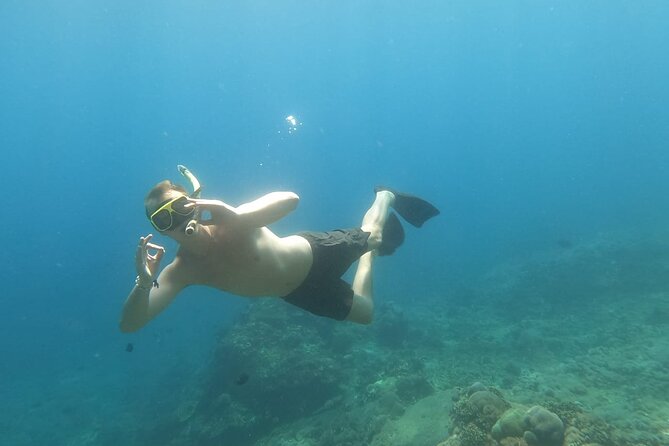 West Nusa Penida With Snorkeling Private Guided Tour - Crystal Bay and Sea Turtles: Coral Views With a Different Focus