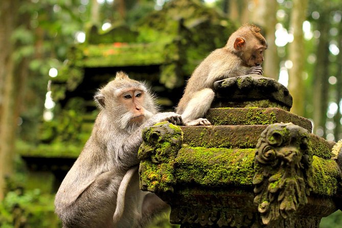Wonderful Of Ubud Tours - Goa Gajah (Elephant Cave): archaeology stop with temple vibes