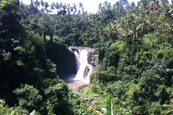 Wonderful Of Ubud Tours - Tegenungan Waterfall: views, walking, and a solid two hours
