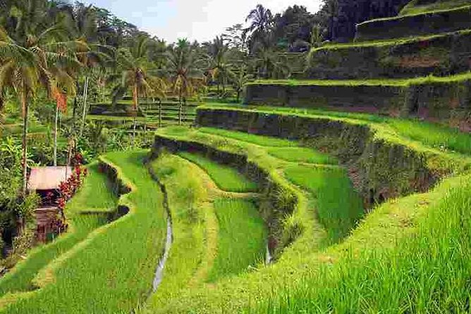 Wonderful Of Ubud Tours - What to pack and what to bring money-wise