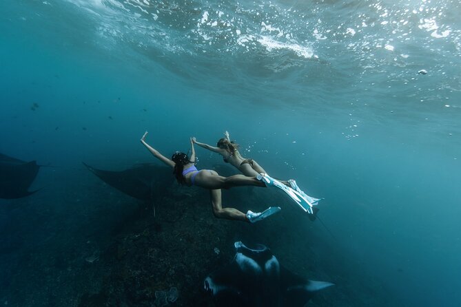 ️Nusa Penida by Private Boat - Snorkeling 4 spots, Swim with Mantas + Land Tour - Key highlights at a glance